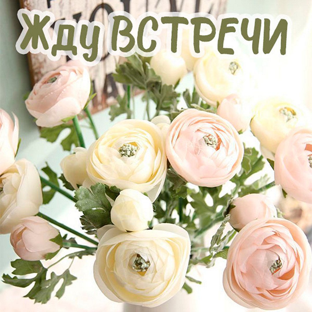 Я жду тебя любимый