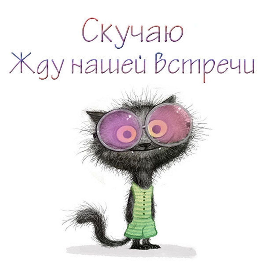 Я жду встречи с тобой любимый