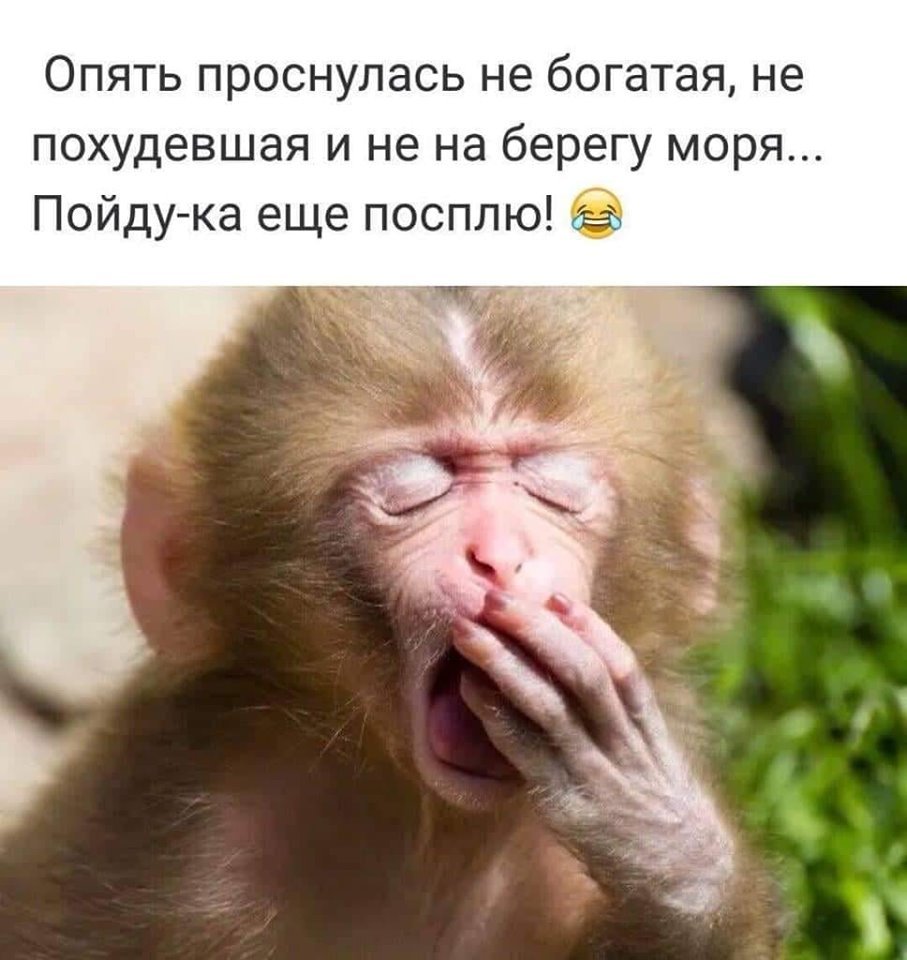 Опять проснулась не в Париже