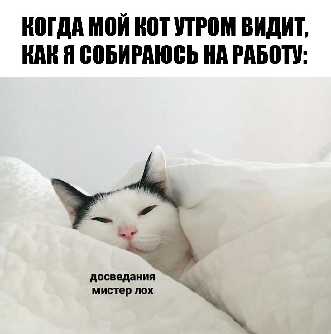 До свидания Мистер лох