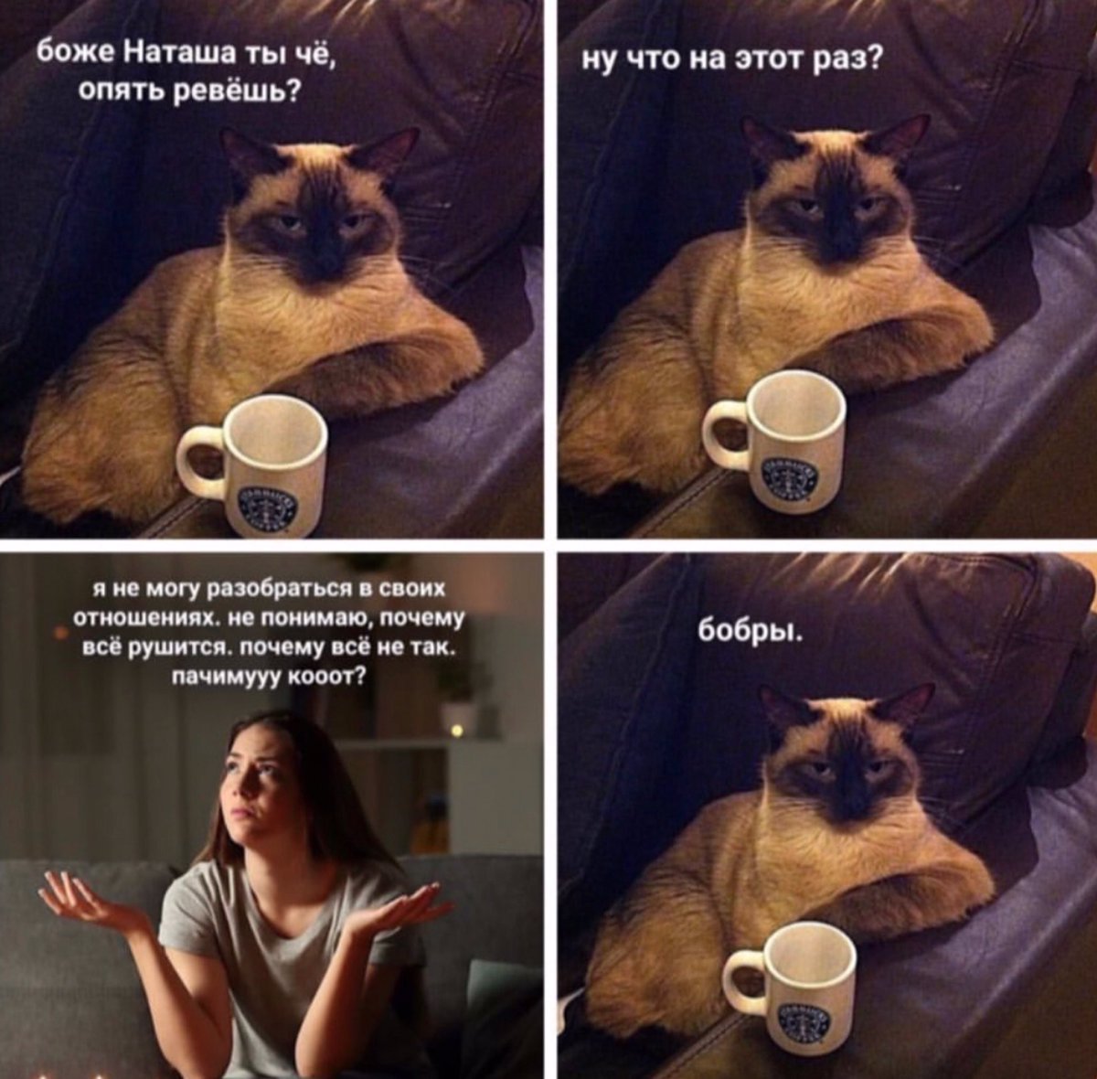 Кот утро понедельника