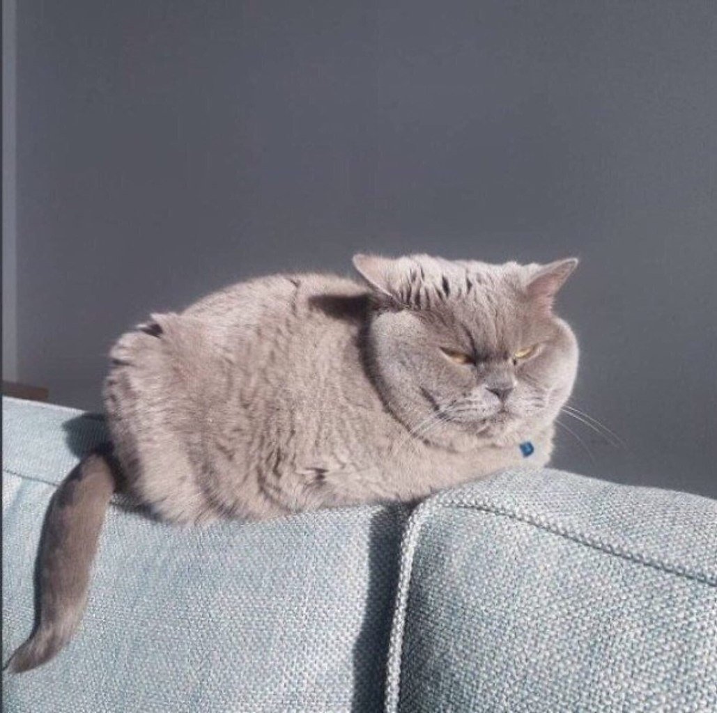 Люблю проснуться в пять утра и размышлять какого хрена