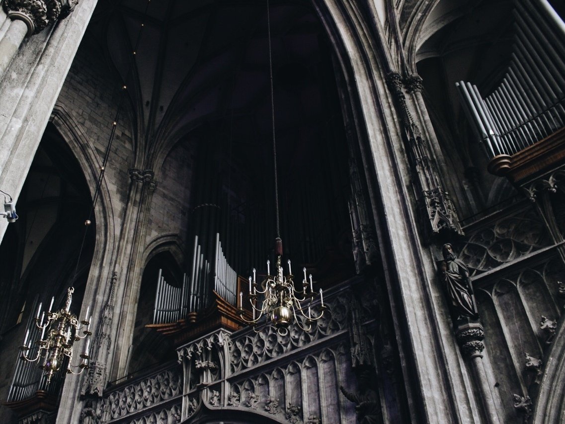 Вампирская Эстетика дарк Академия