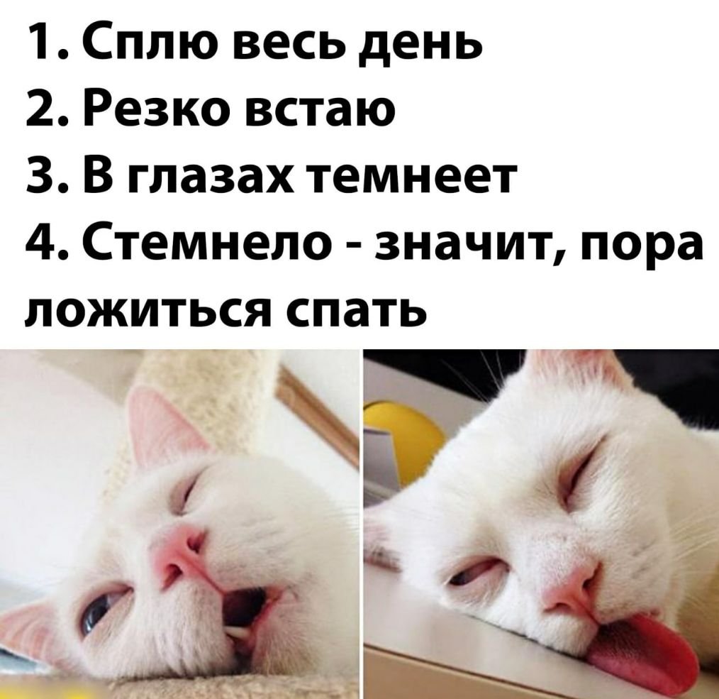 Спать весь день