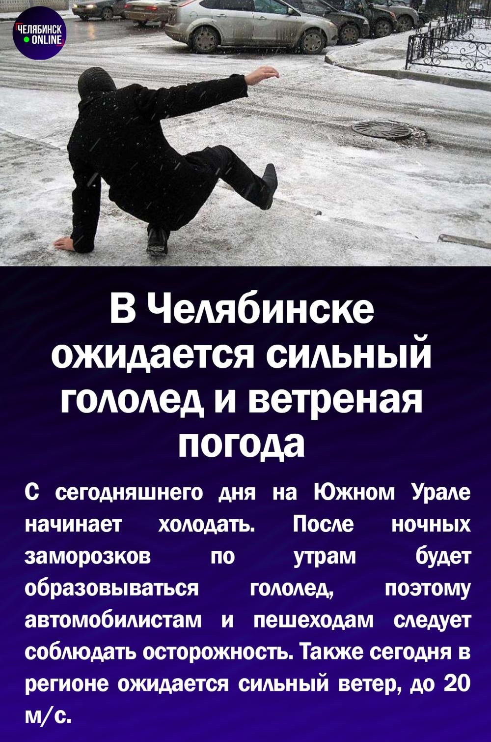 Гусь на льду