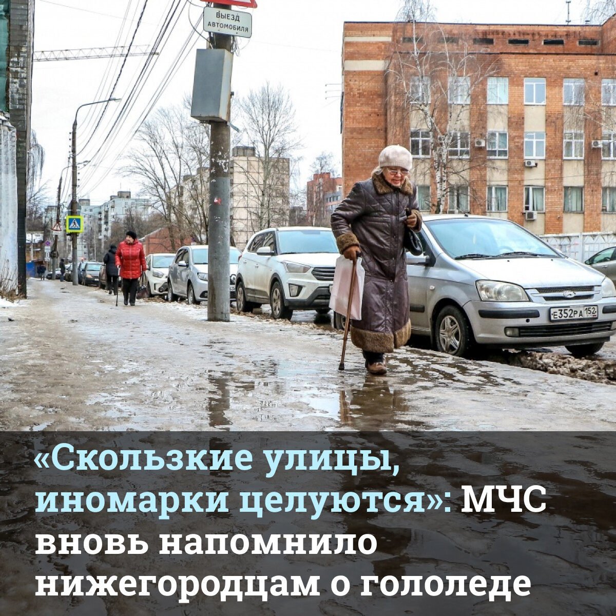 Пингвины танцуют