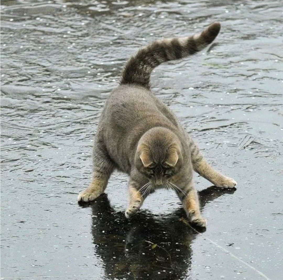 Скользко на улице