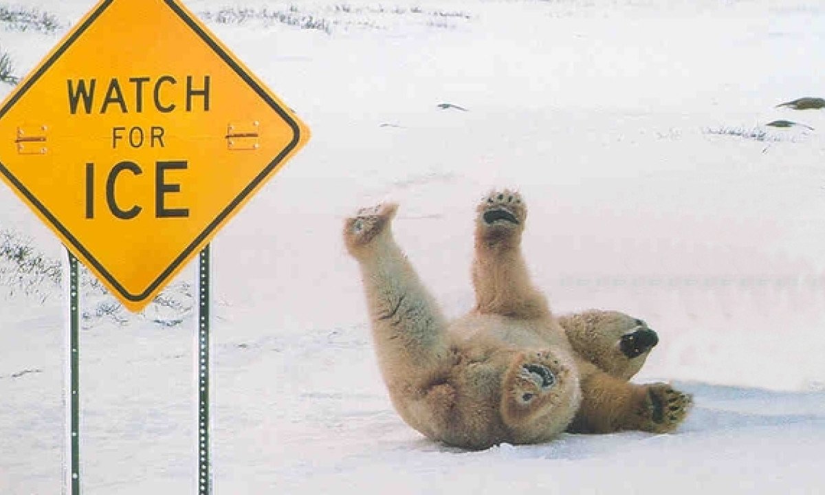 Гололед фильм 2003