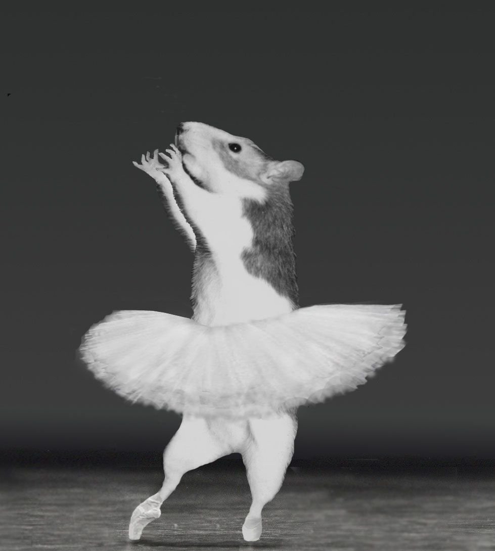 Крыса в балетной пачке