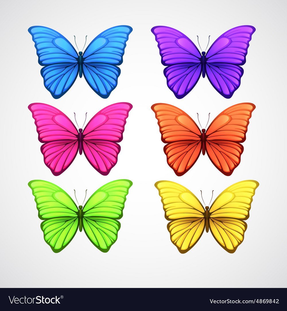 Бабочки разного цвета