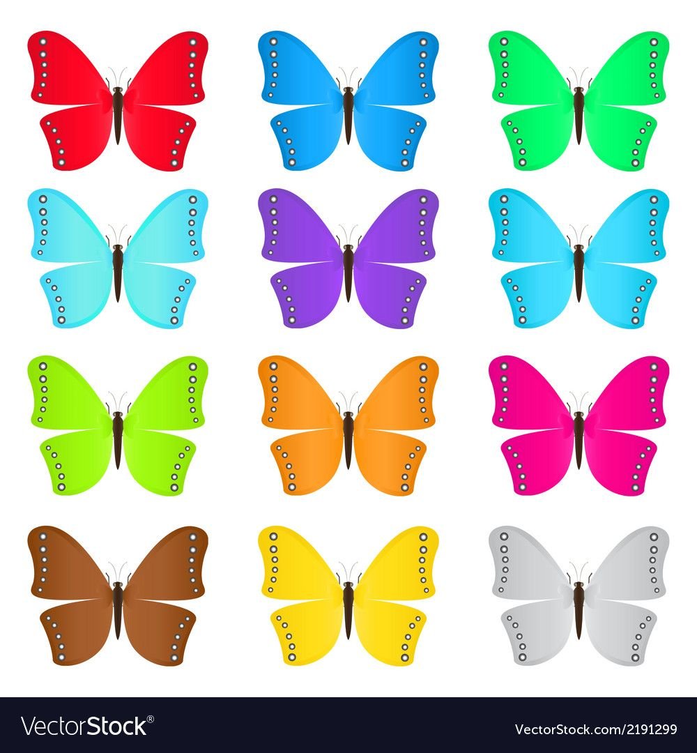 Бабочки разных цветов для детей