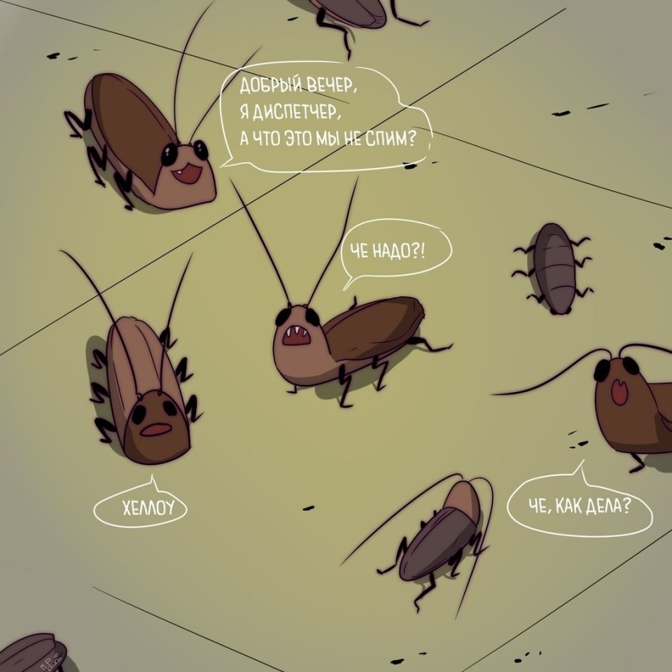 Мемы про тараканов