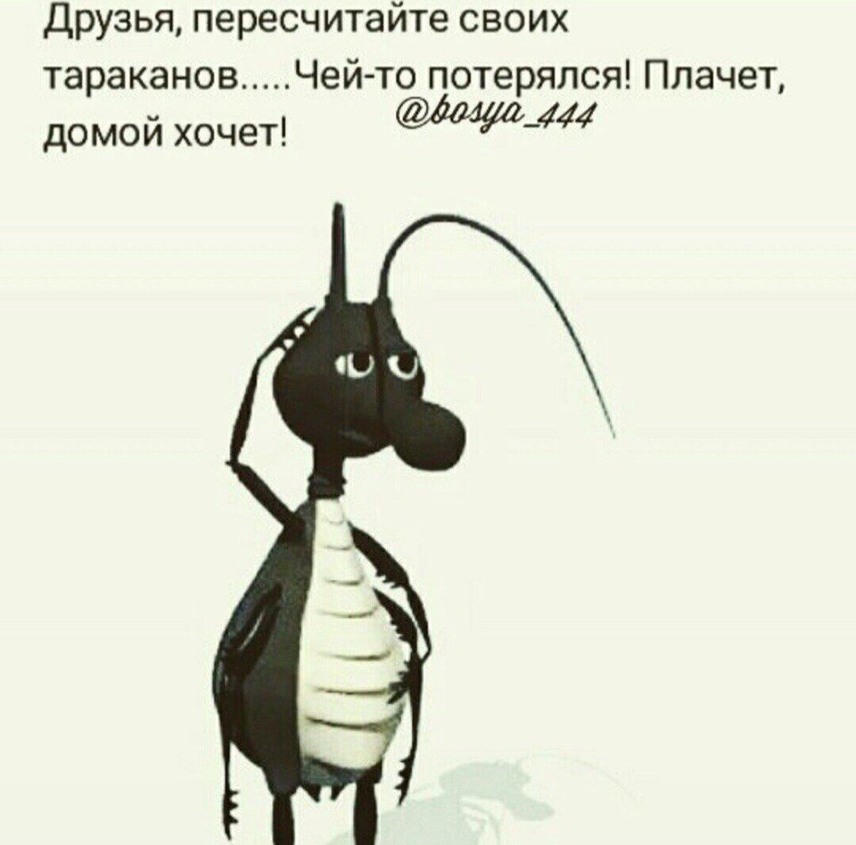 Клоп смешной