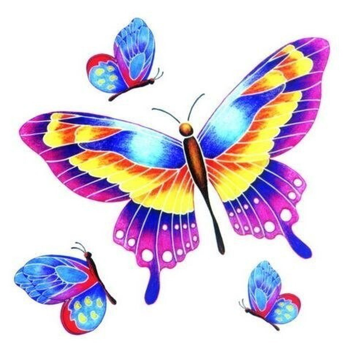 Кратко разноцветная бабочка. Бабочки цветные. Бабочки для вырезания цветные. Разноцветные бабочки для вырезания. Бабочки рисунки цветные.