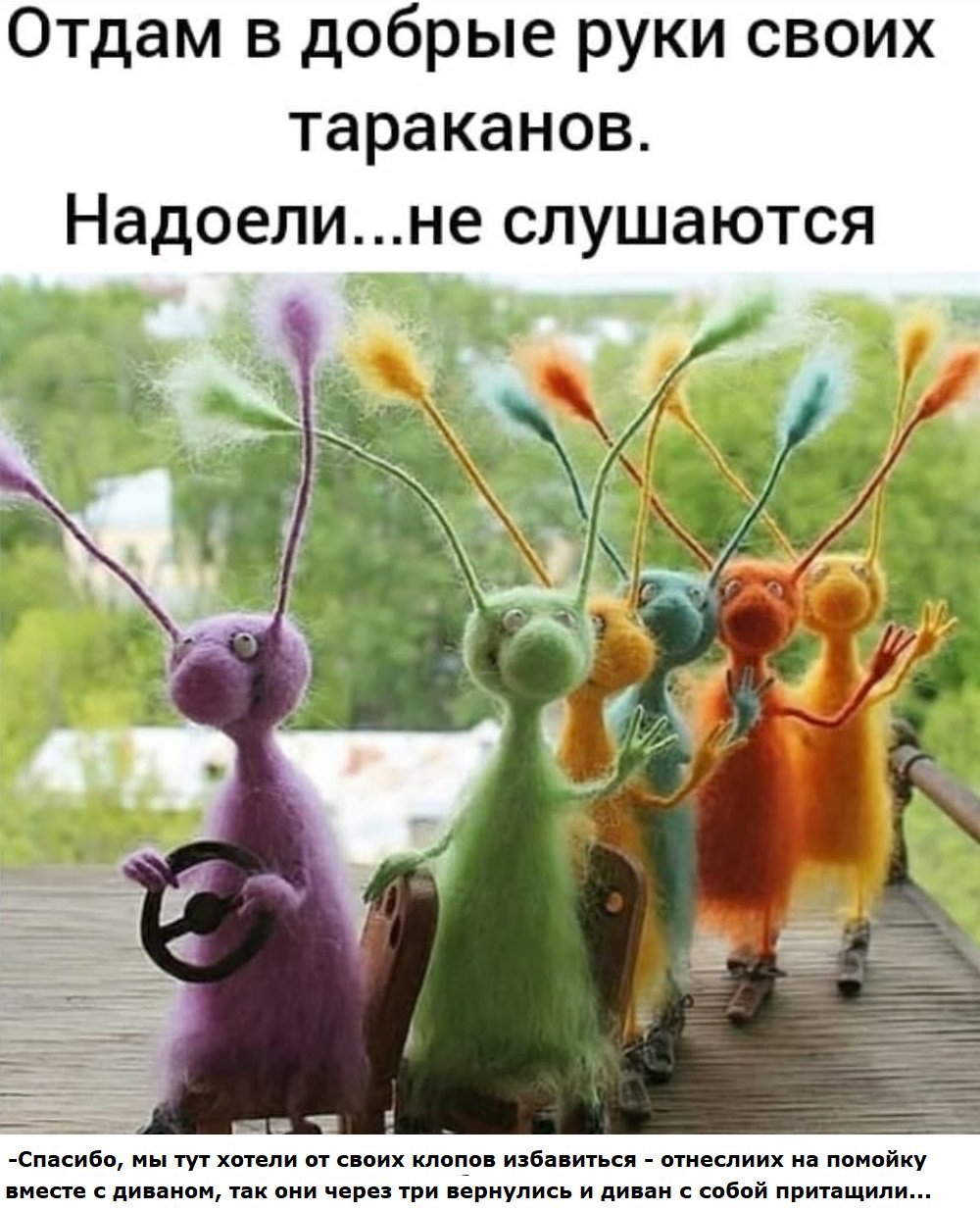 Анекдоты про тараканов смешные