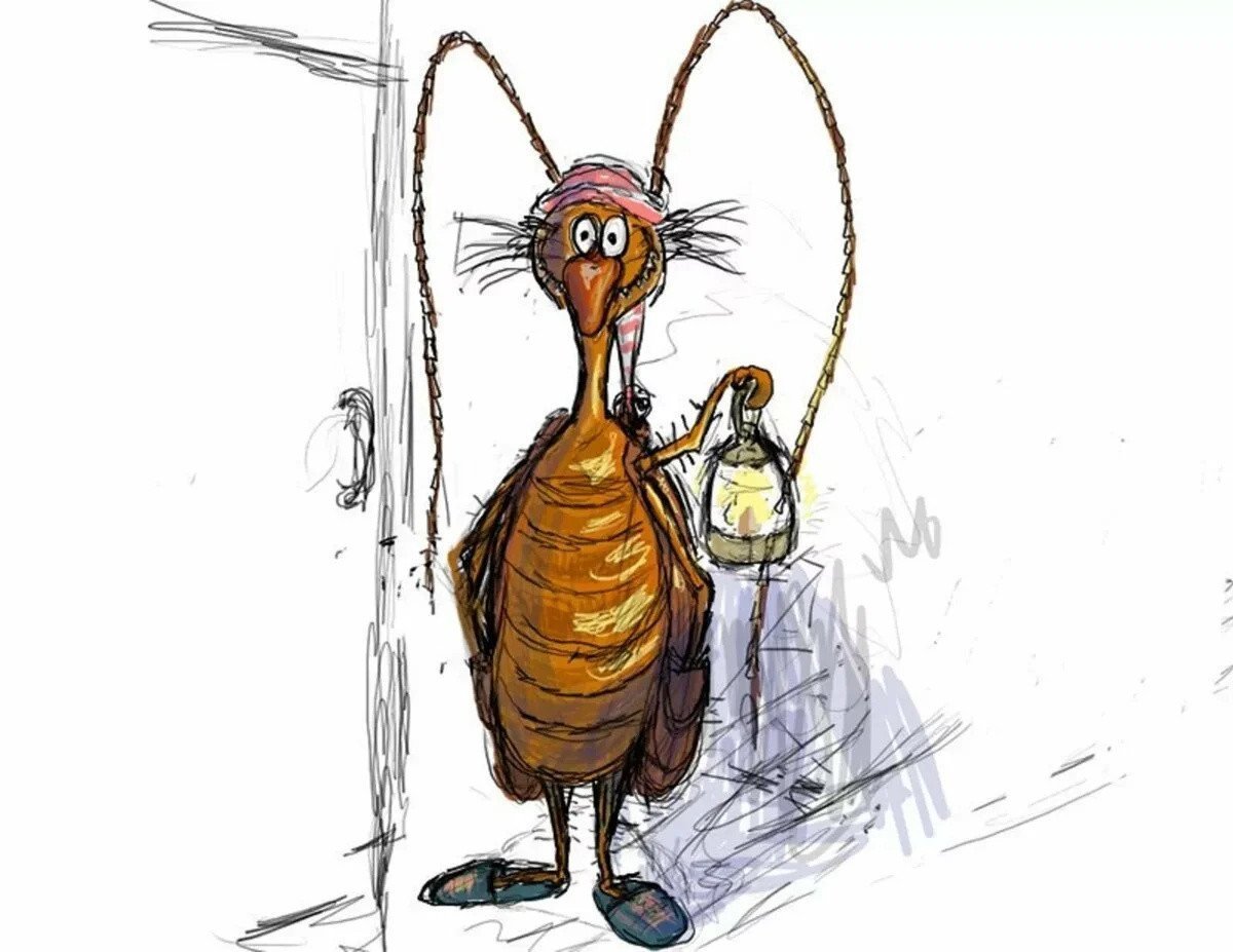 Смешные рисунки тараканов