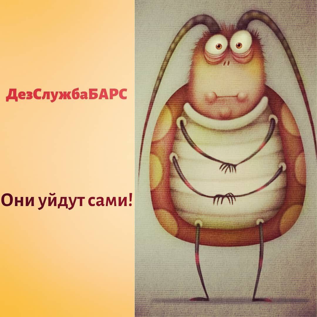 Таракан прикольный