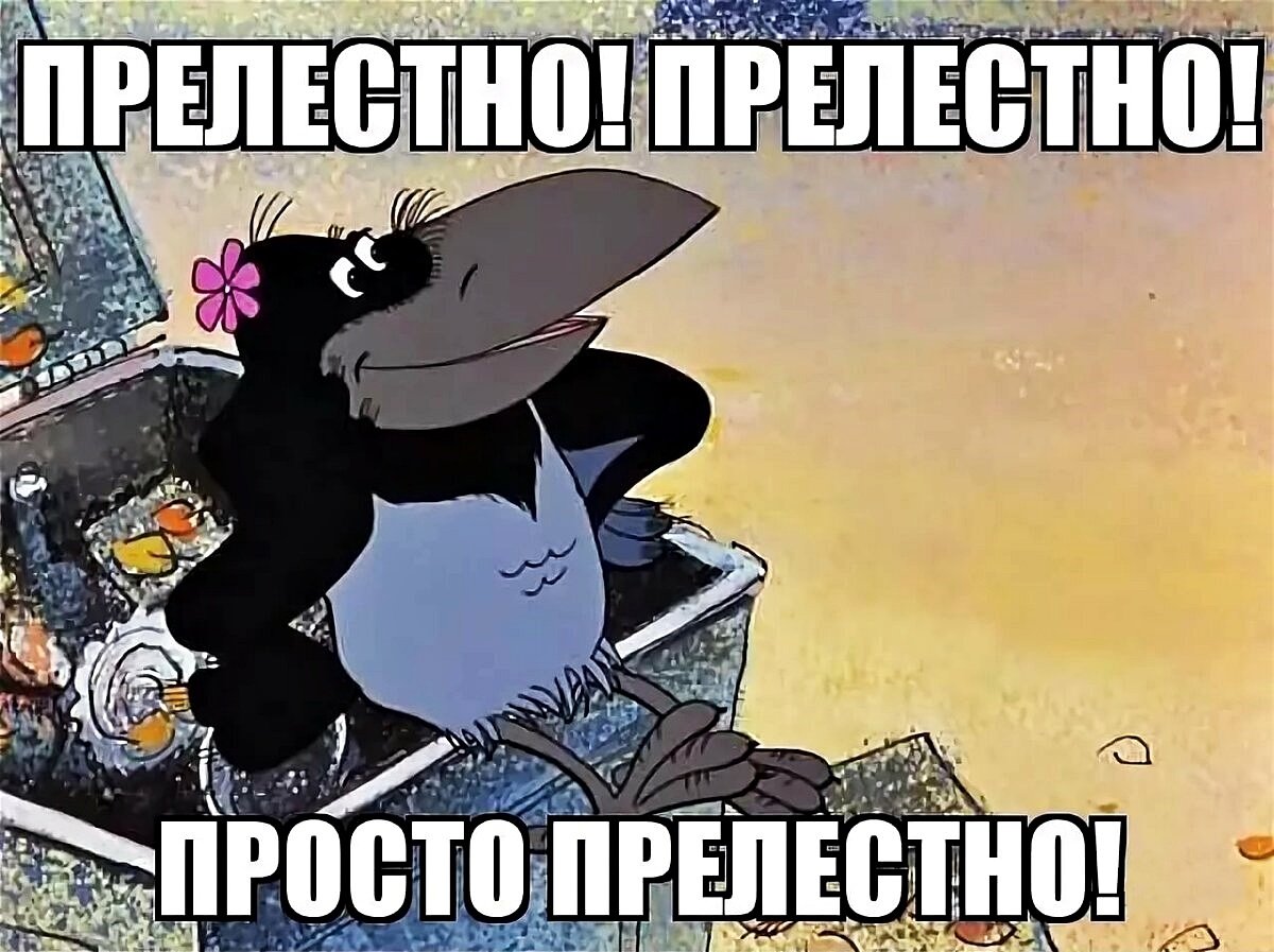 Ворон на фоне солнца