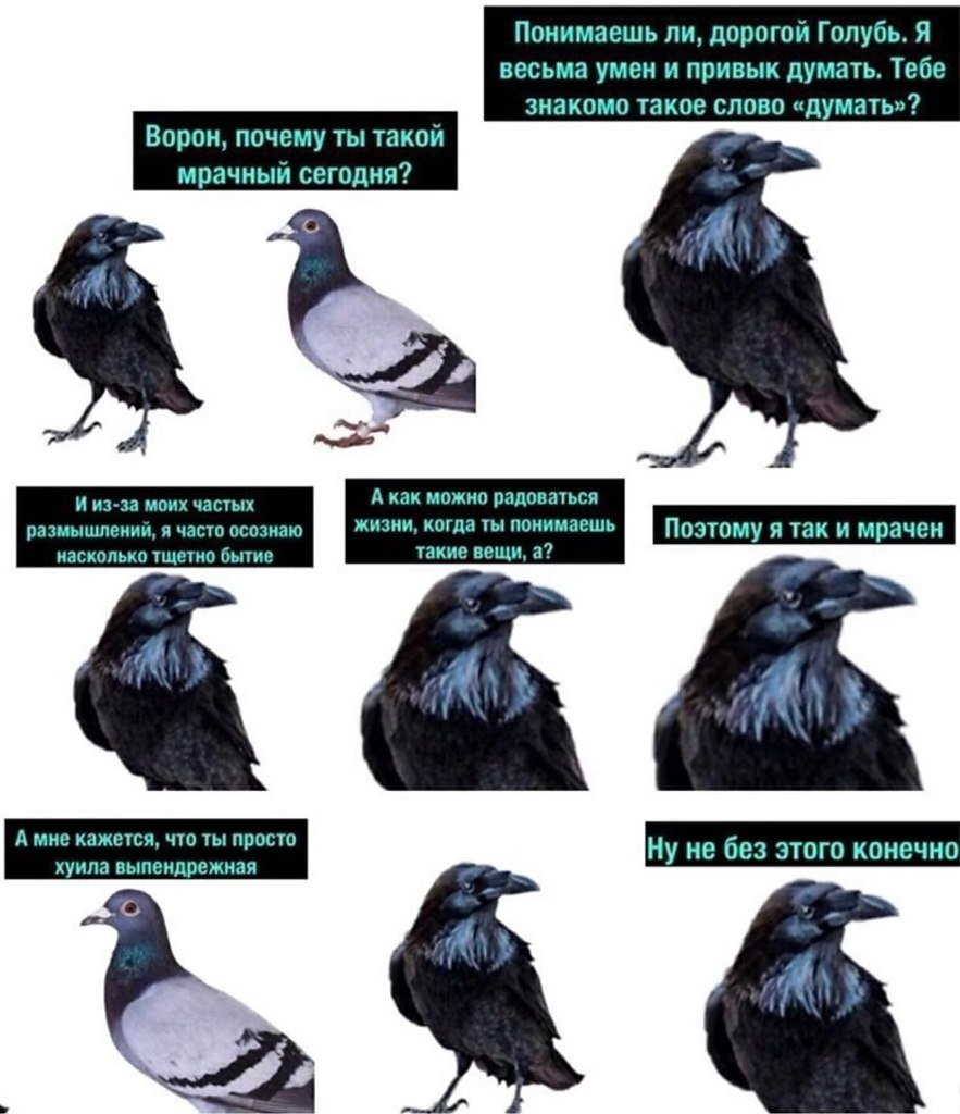 Ворона ворона перейди на корону