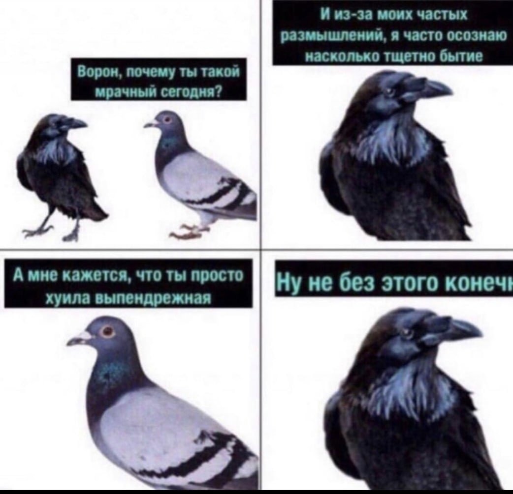 Ворона арт милый