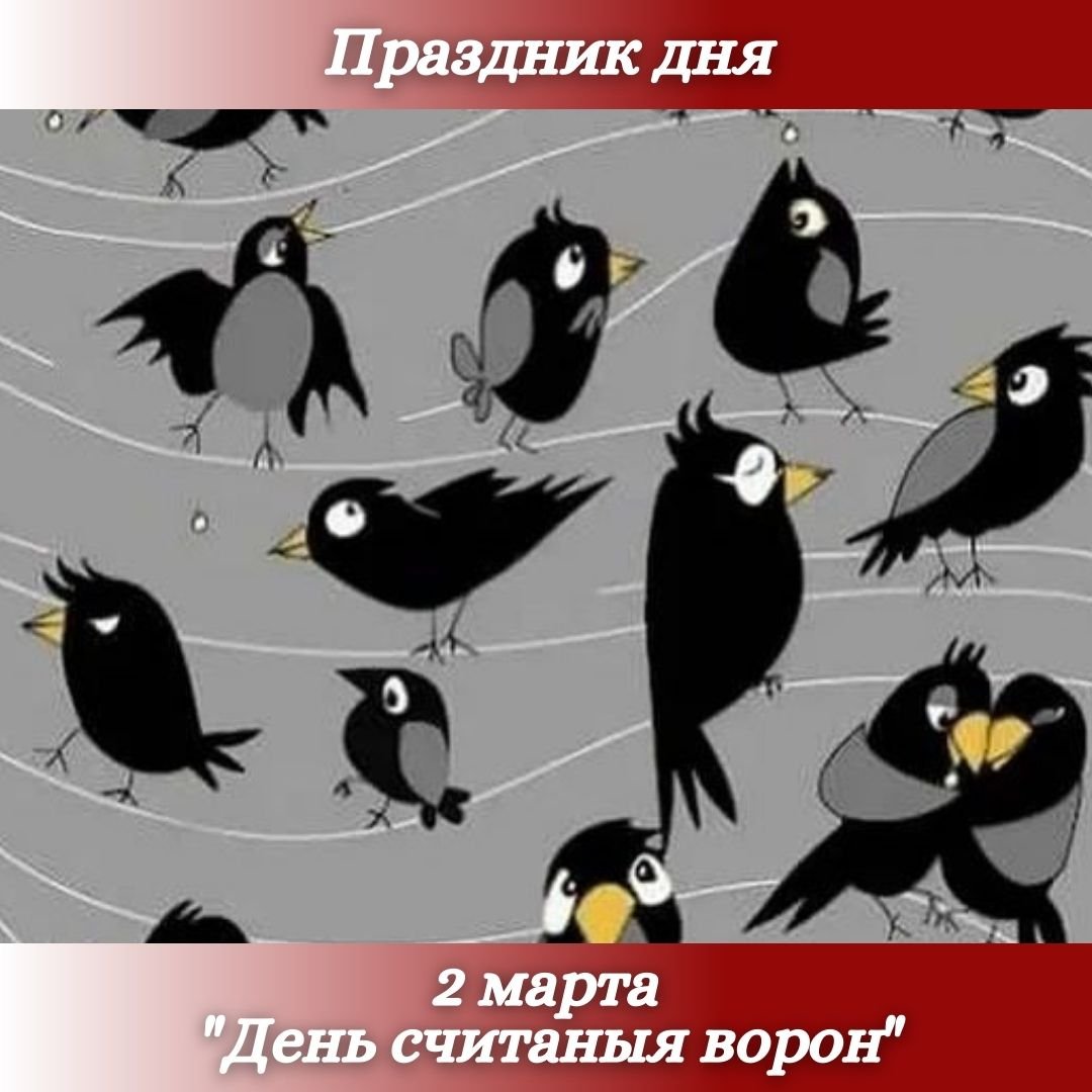 Ворона прикол