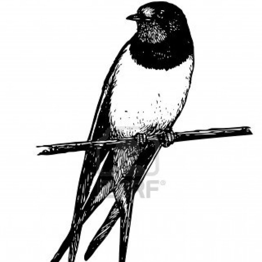 Трафарет ласточки на ветке