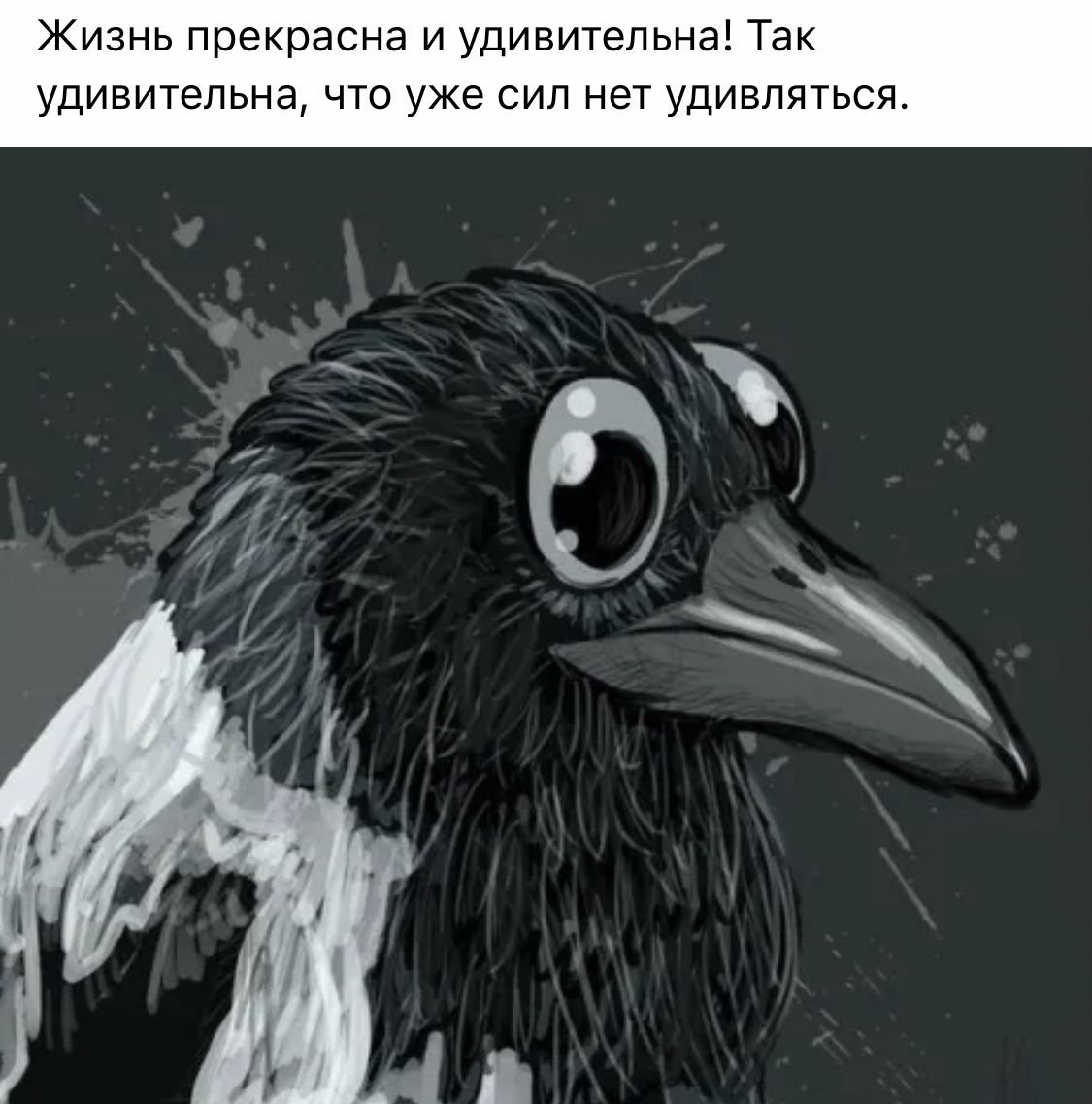 Прикольная ворона