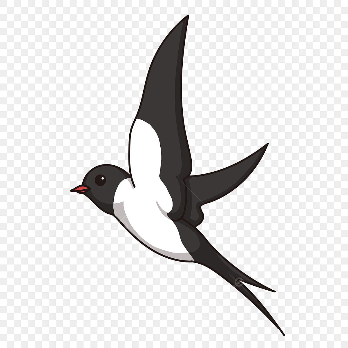 Ласточка мульт