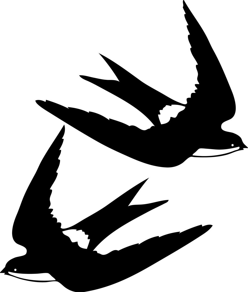 Ласточка черно белая