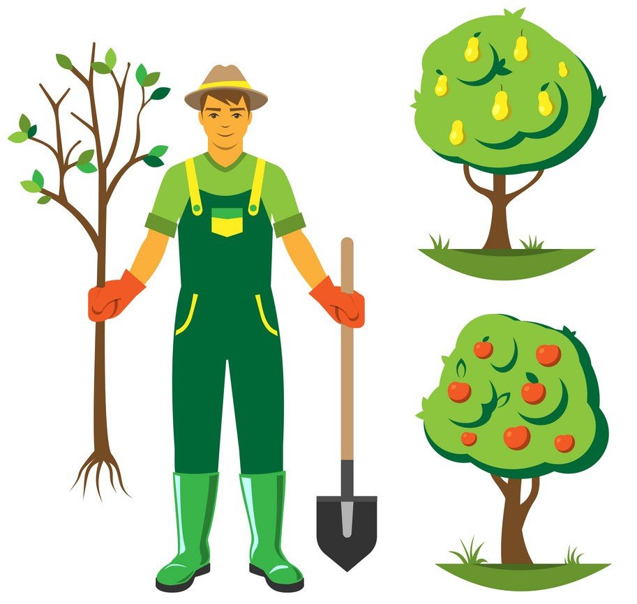 Садовник вектор