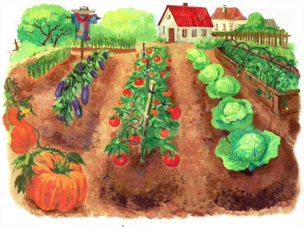 Огород с грядками для детей