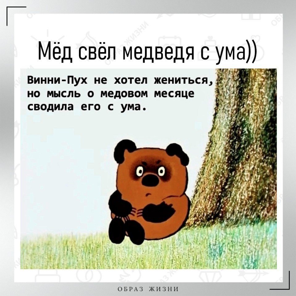 Приколы из Винни пуха