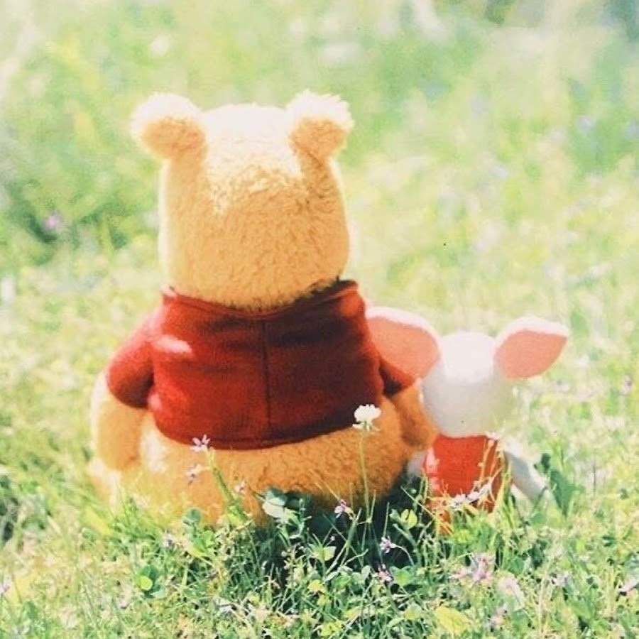 Пятачок неси ружье