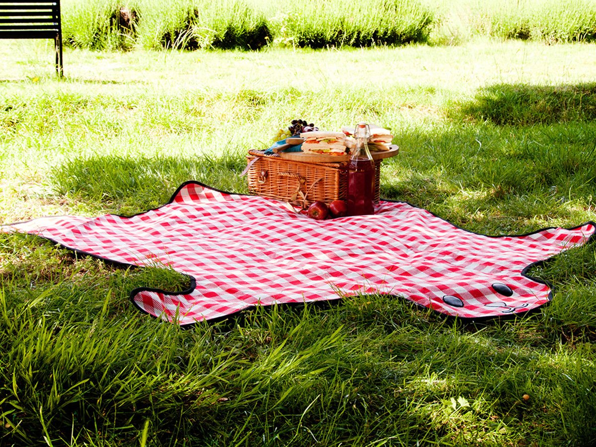 Логотип кафе «скатерть-Самобранка»