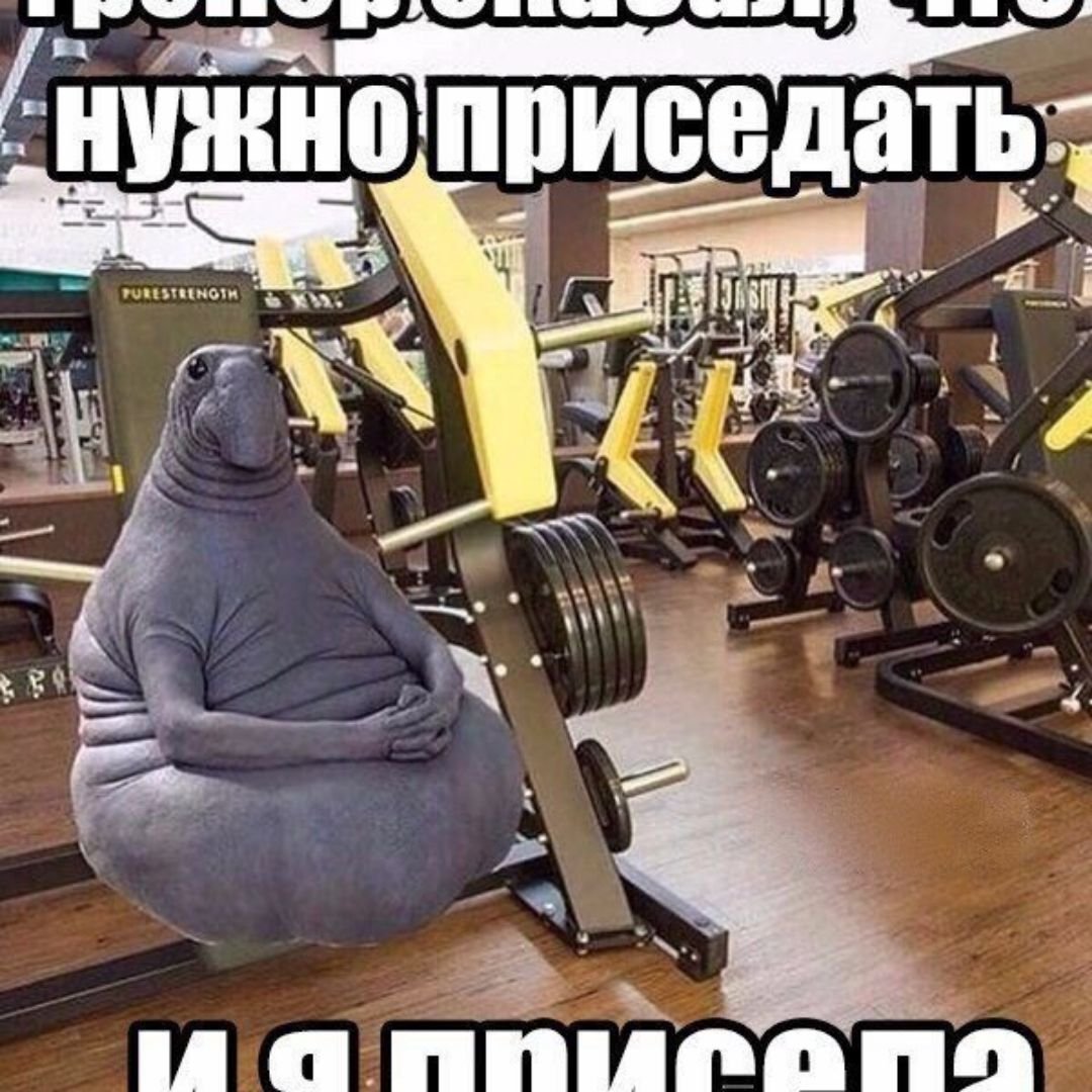 Смешные фразы про фитнес