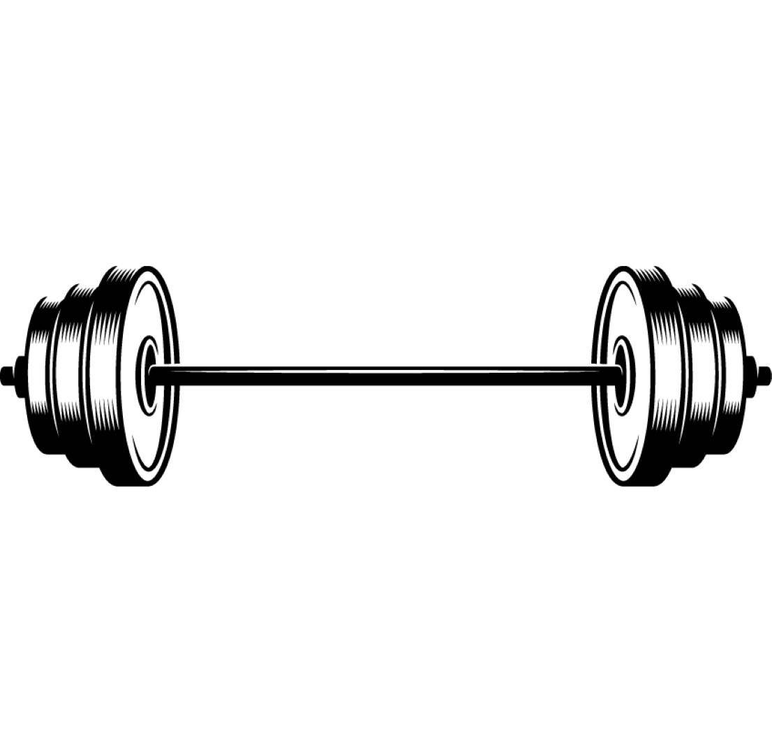 Штанга вектор