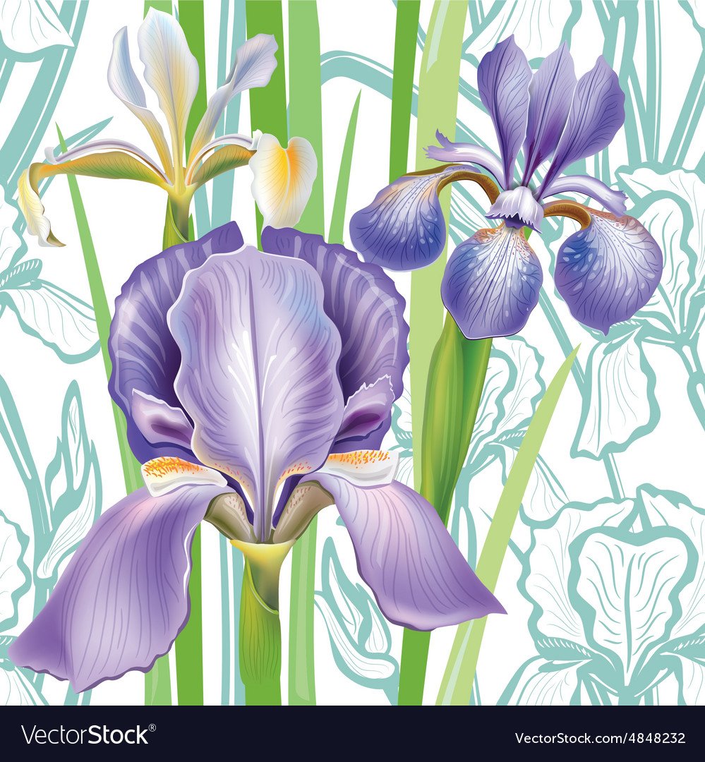 Стилизация ириса постепенно