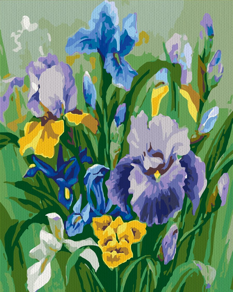 Ватерколор принт Ирис