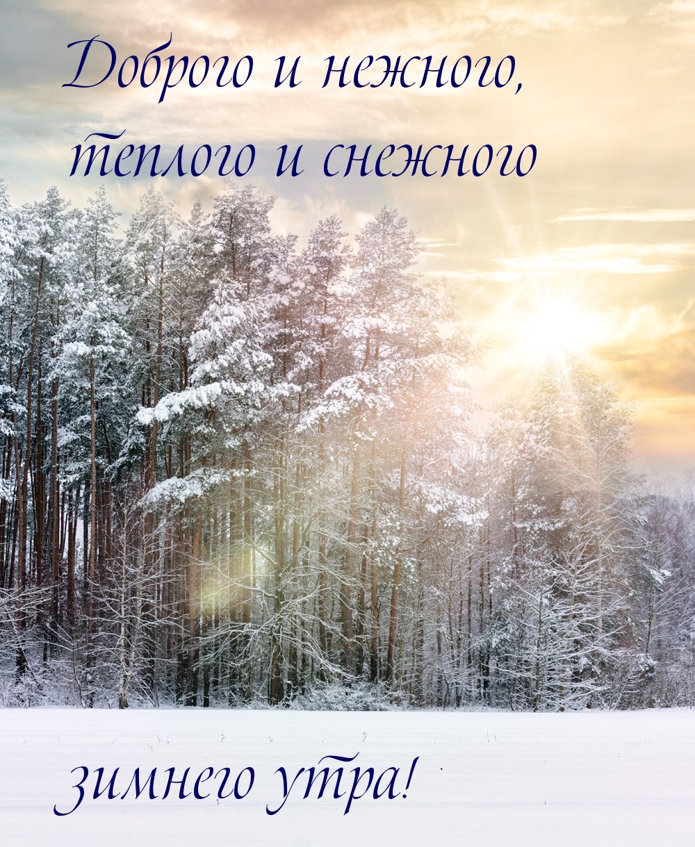 Снежного утра вам