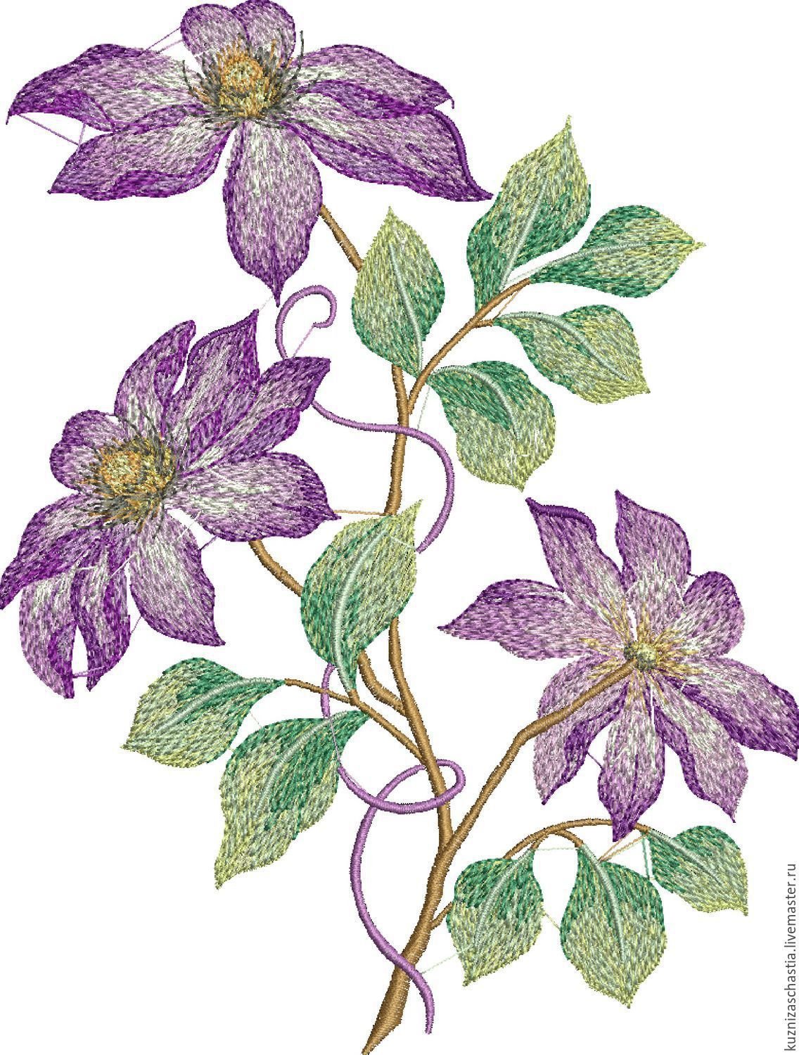 Катарина Кляйн настурции