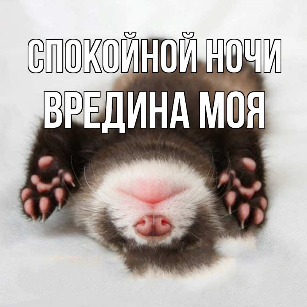 Отдыхай спокойной ночи