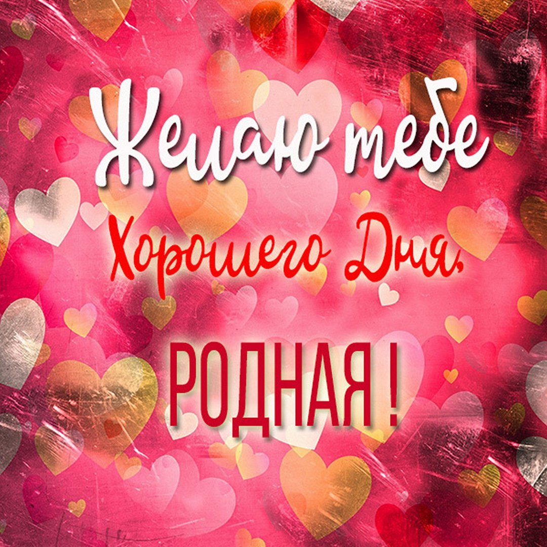 Добрый день любимая