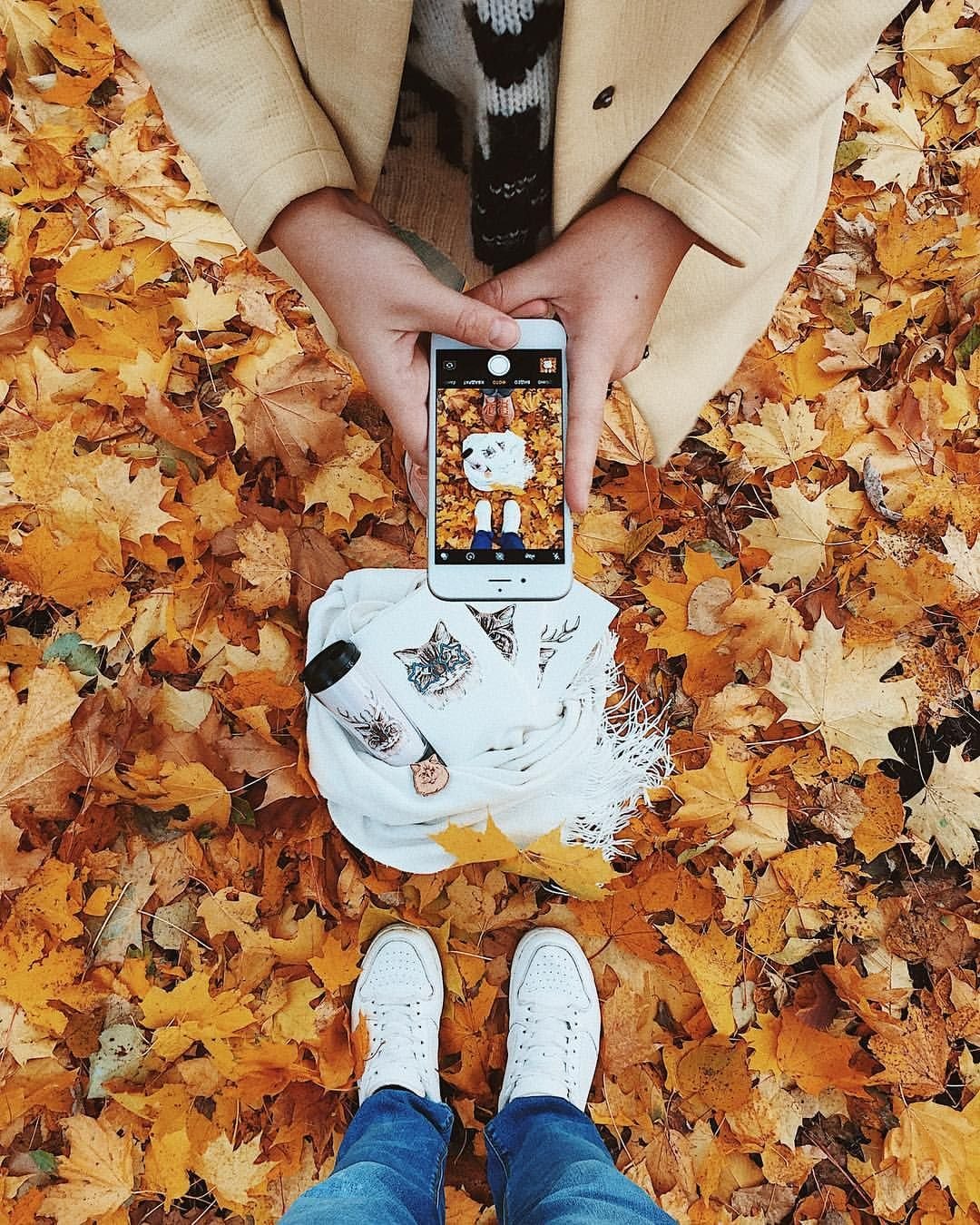 Фотоаппарат осень