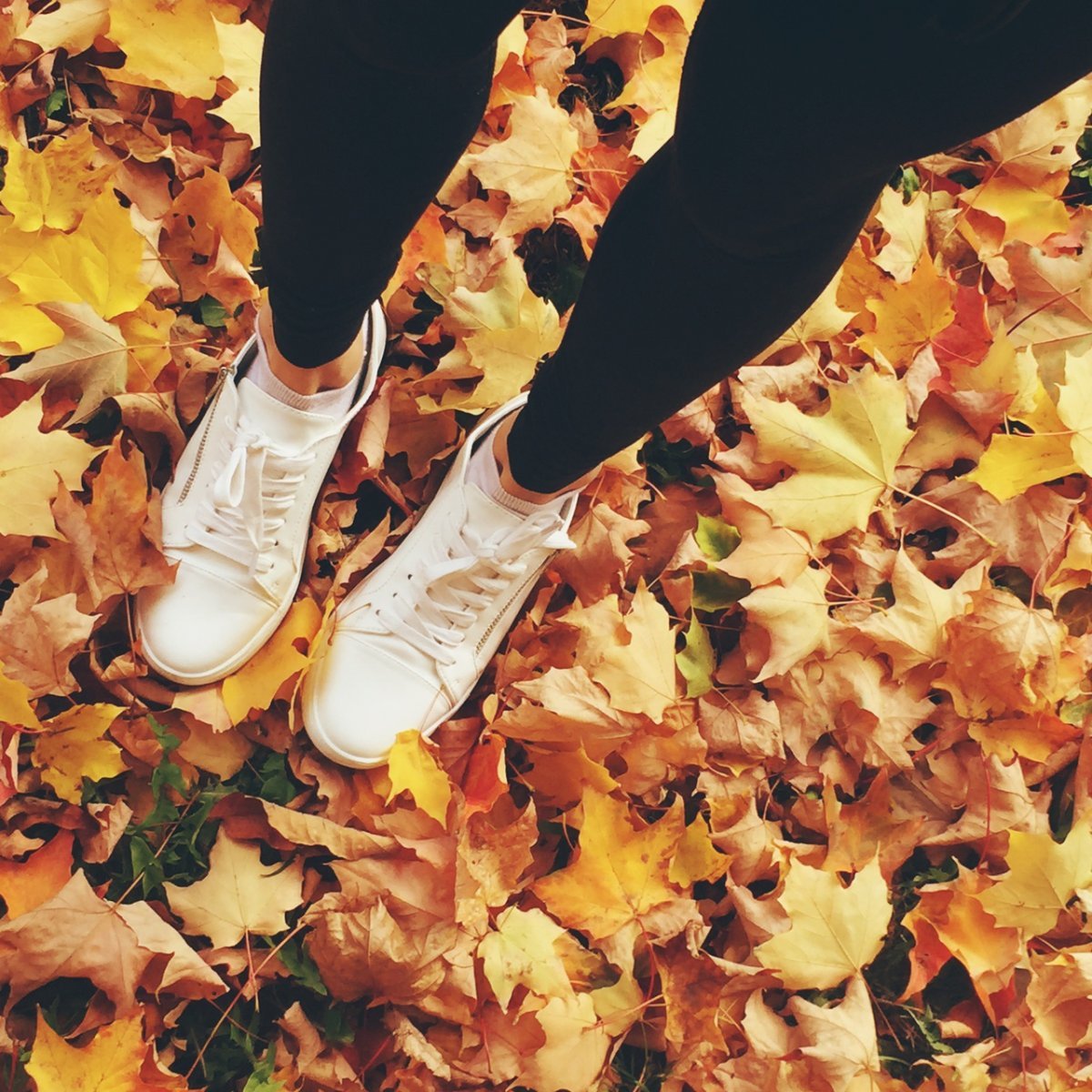 Необыкновенные осенние фотосессии