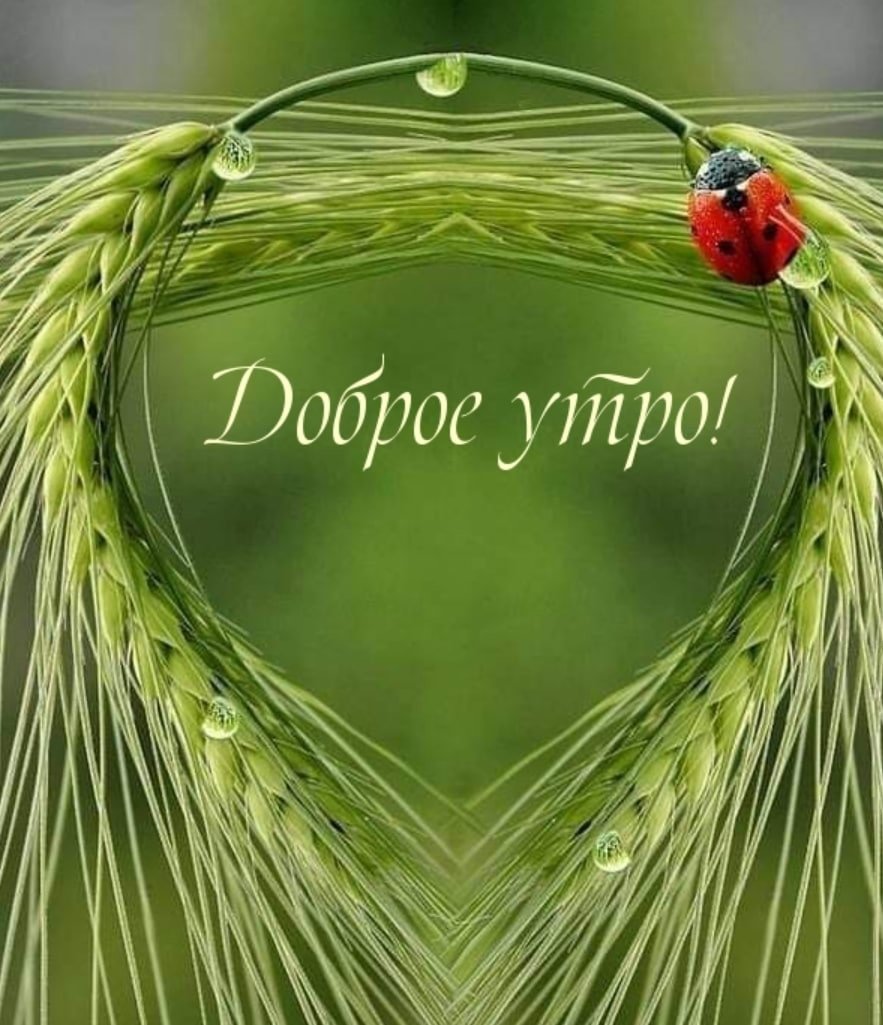 Божьих благословений вам