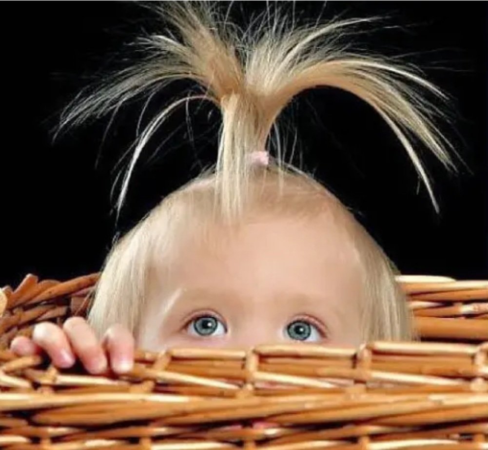 Прикольные приветствия