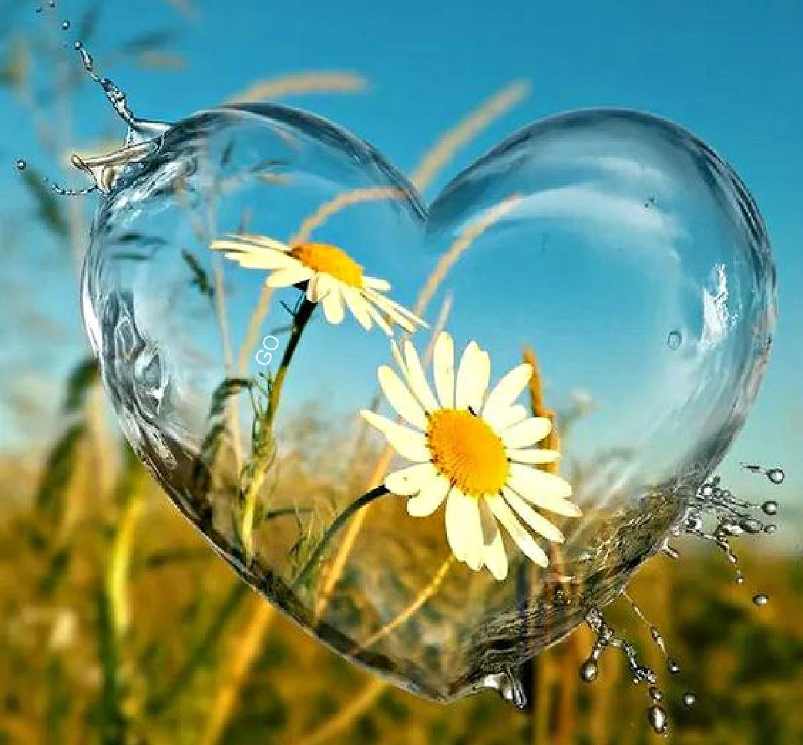 С добрым утром