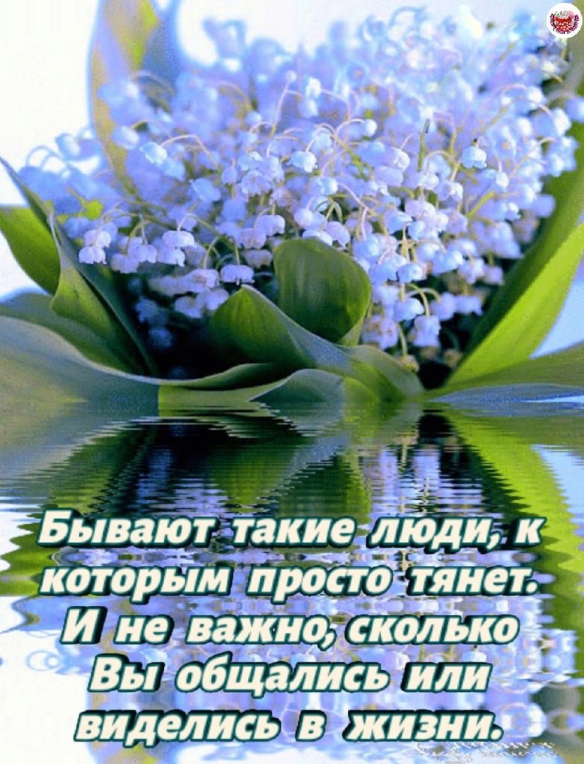 Букет ландышей для тебя