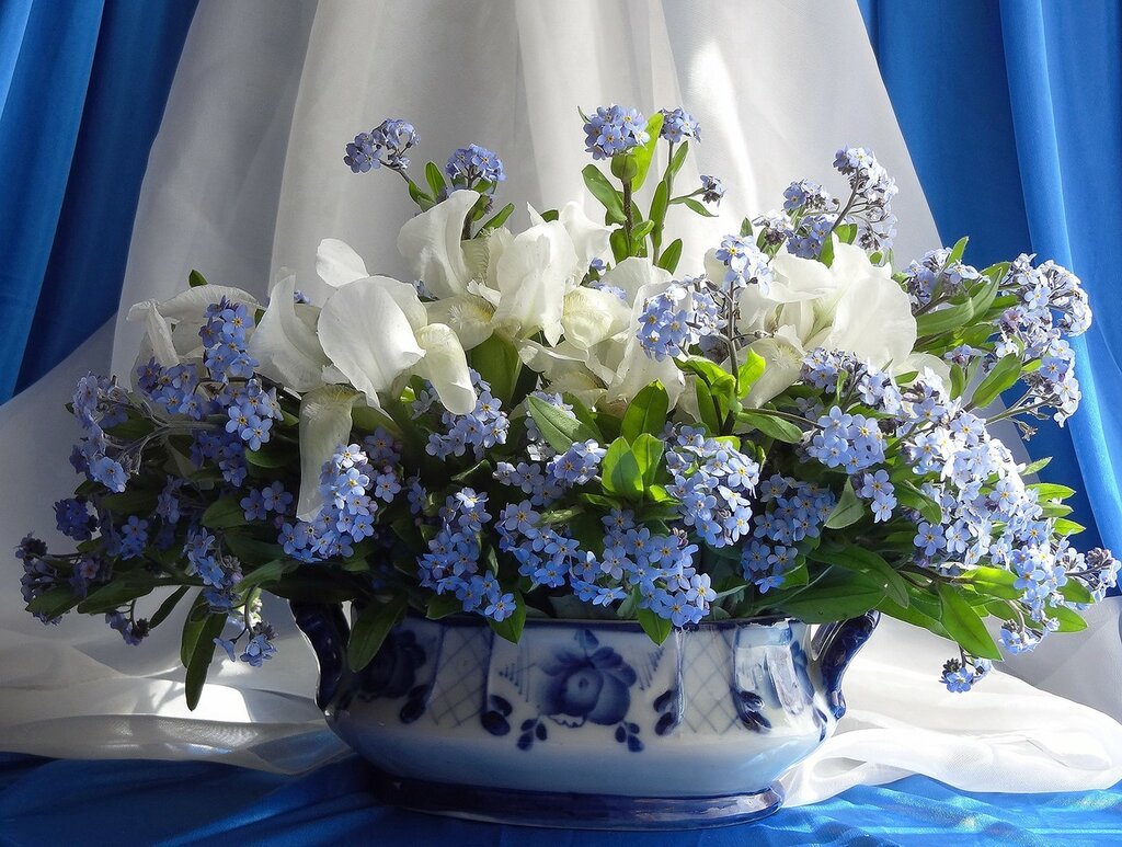 Фиалка букет незабудок