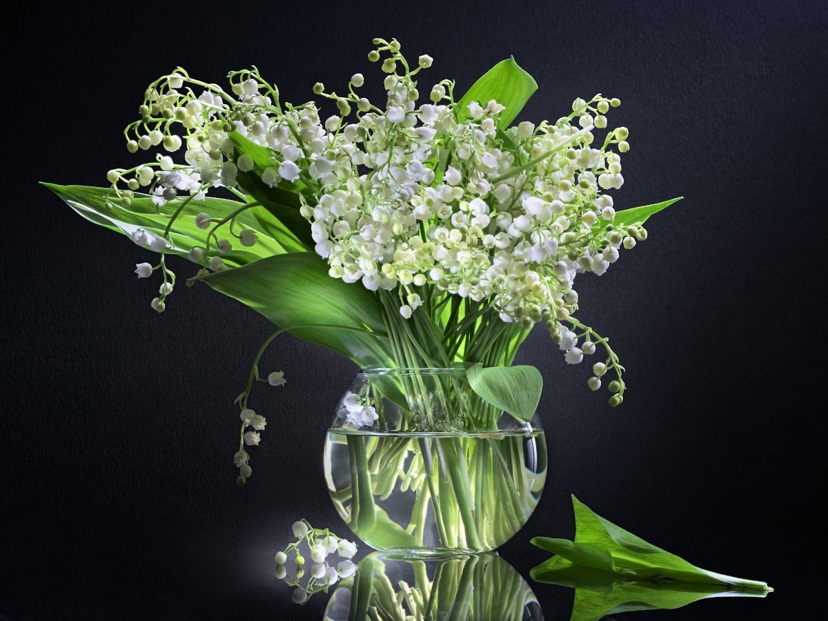 Ландыши Алиса